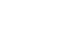 client Paradox Cat